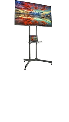 Monitor and Stand Rentals